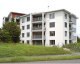 Import: Gesamt