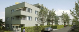 Import: Gesamt