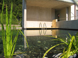 Import: Schwimmteich