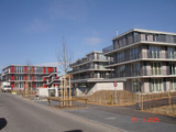 Import: Ansicht