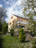 Import: Gesamt