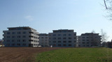 Import: Haus.jpg