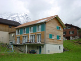 Import: Gesamt