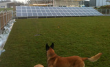Import: Solar