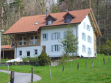 Import: Gesamt