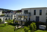 MFH Auengrund Forch