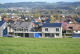 Waldegg29