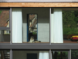 Import: Fenster