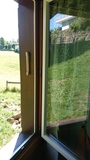 Fenster Bestand