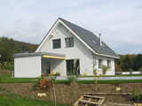 Import: Vorne