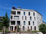 Steinhof 4