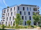 Steinhof 5
