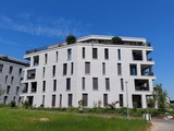 Steinhof 8