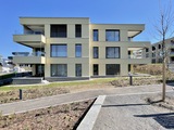 MFH E / 20 mit 11 Mietwohnungen (©Nigg Architektur / M.Nigg)