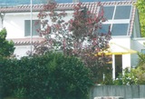 SO-733