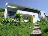 Import: Suedwest