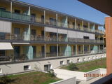 vista posteriore