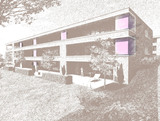 Dahlienfeld Tägerwilen