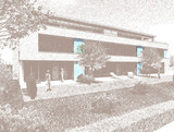 Dahlienfeld Tägerwilen