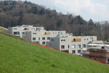 Import: Gesamt
