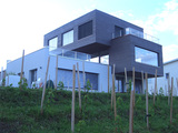 Import: Gesamt