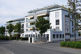 Import: Gesamt
