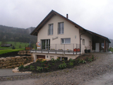 Import: Gesamt