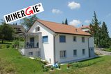 Import: Gesamt