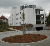 Import: Hinten