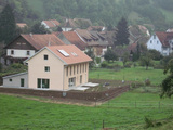 Import: Gesamt